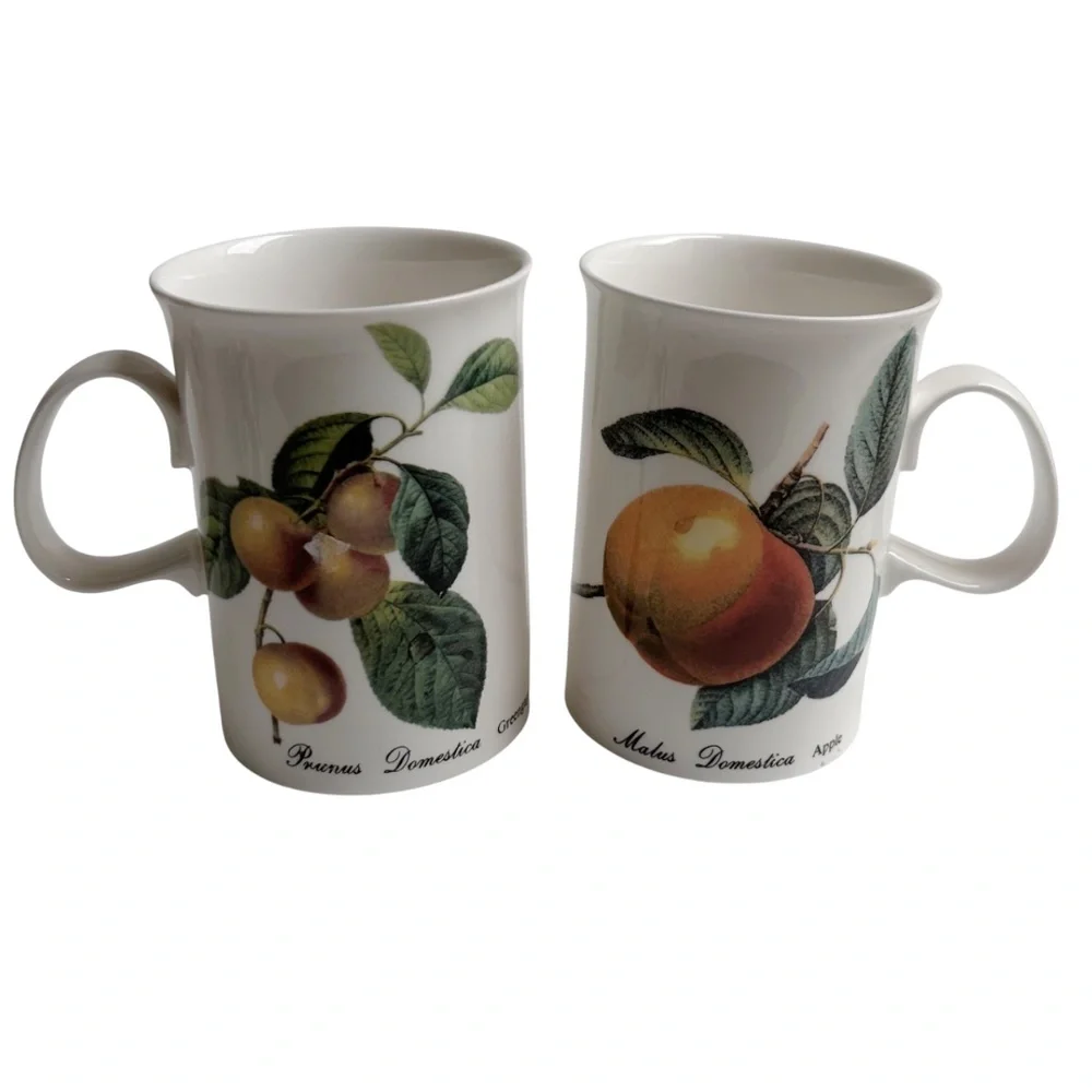 Set of 6 Dunoon Fruit Blenheim Mugs Bone China England